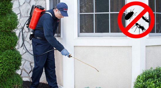 Köşk Gümüşkurt İlaçlama böcek ilaçlama ve haşere kontrolü — ilaclama-tr.com